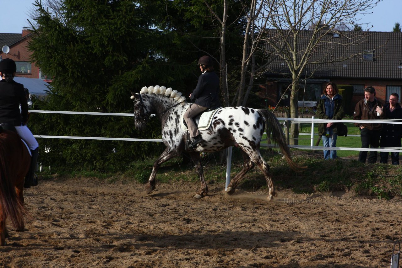 Bild 1584 - WBO-Turnier am 9.4.11